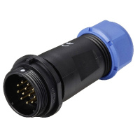ps21-m12s-te-005